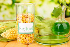 Dinas biofuel availability
