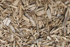 biomass boilers Dinas