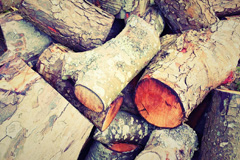 Dinas wood burning boiler costs
